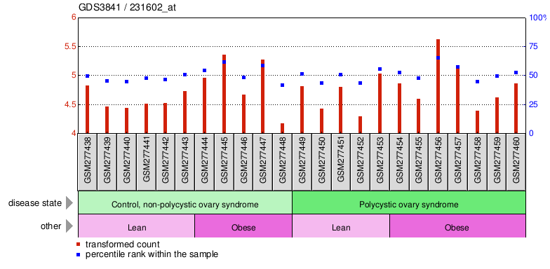 Gene Expression Profile