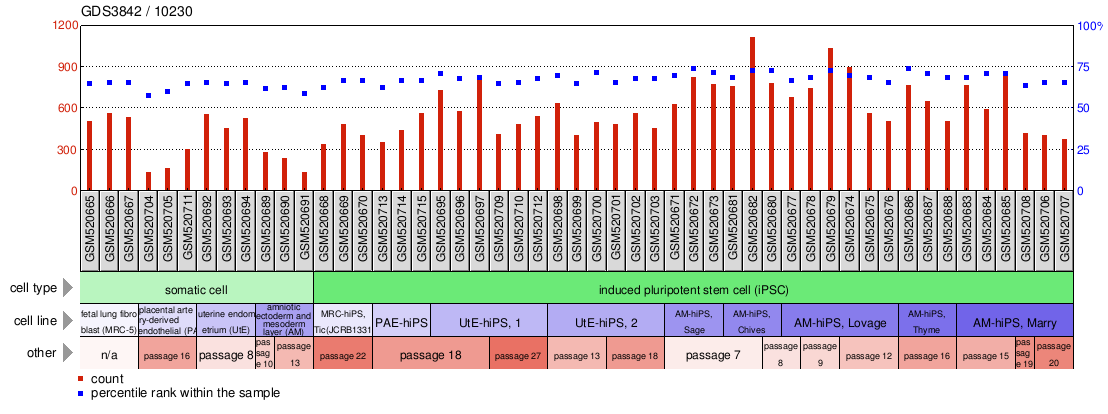 Gene Expression Profile