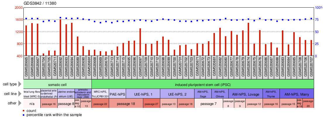 Gene Expression Profile