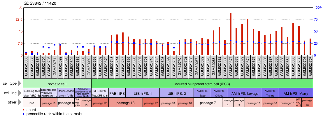 Gene Expression Profile