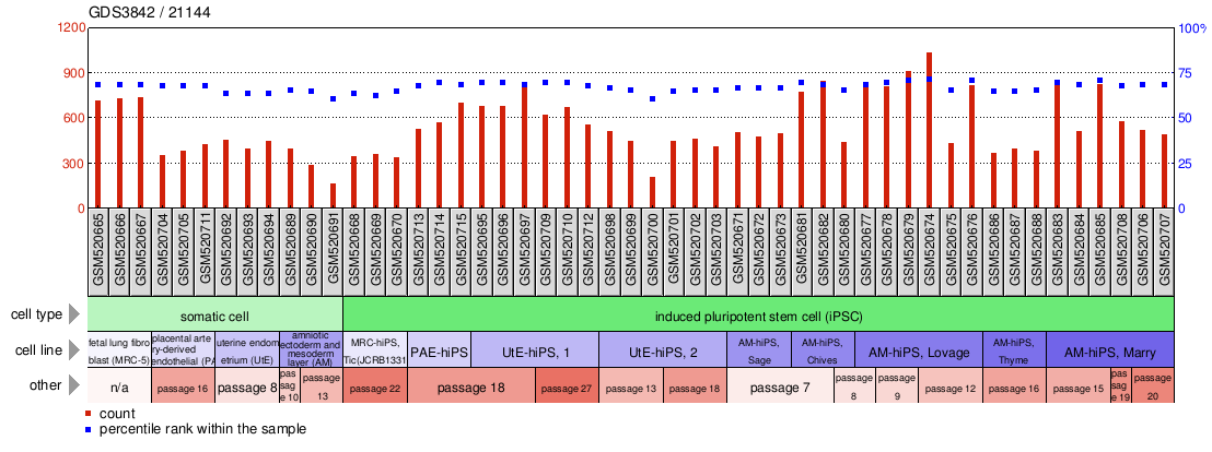 Gene Expression Profile