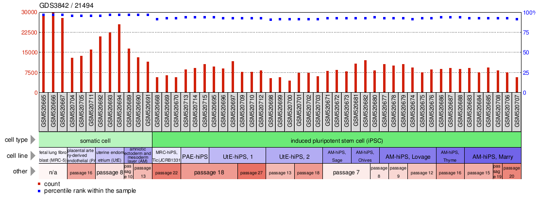 Gene Expression Profile