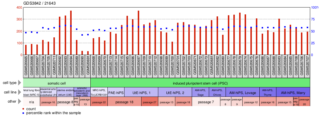 Gene Expression Profile