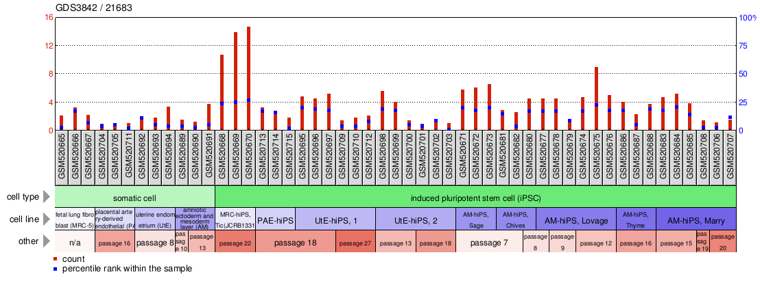 Gene Expression Profile