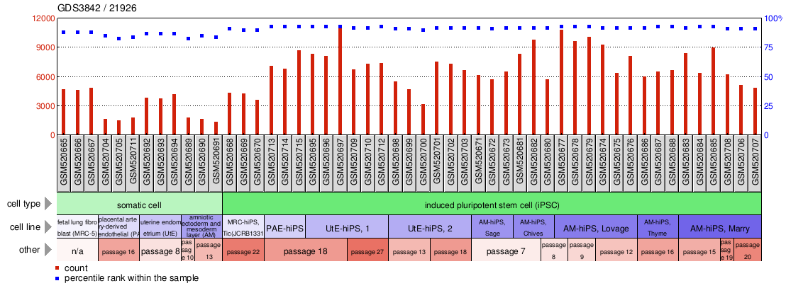 Gene Expression Profile