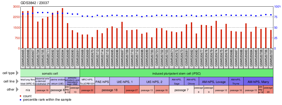 Gene Expression Profile