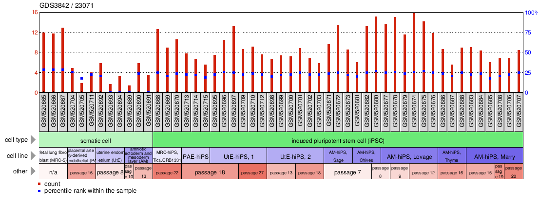 Gene Expression Profile