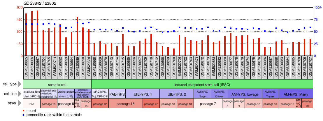 Gene Expression Profile