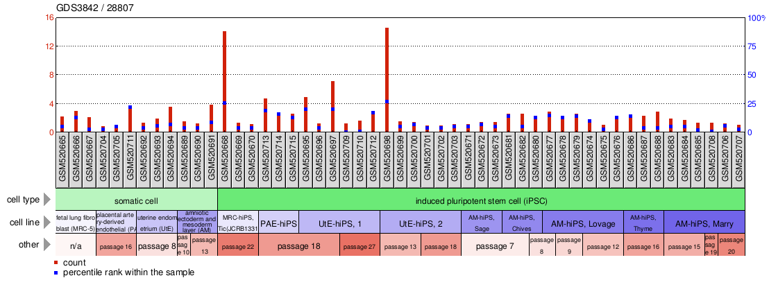 Gene Expression Profile