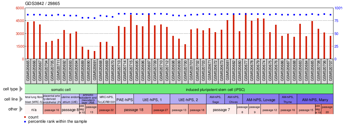 Gene Expression Profile