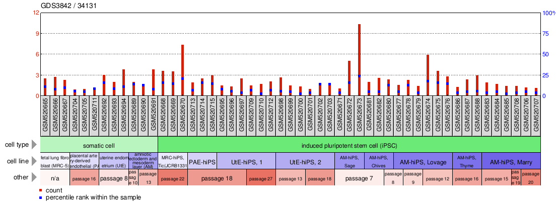 Gene Expression Profile