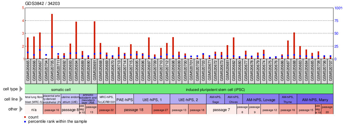 Gene Expression Profile