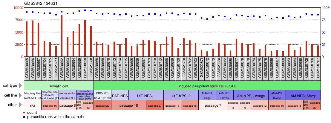 Gene Expression Profile