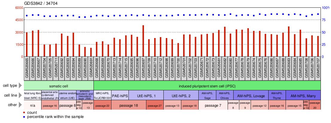 Gene Expression Profile