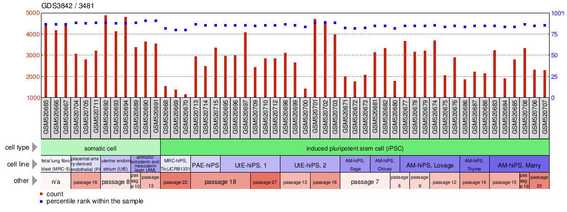 Gene Expression Profile