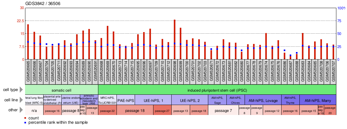 Gene Expression Profile