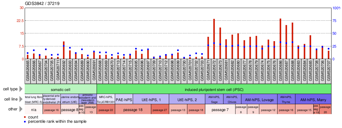 Gene Expression Profile