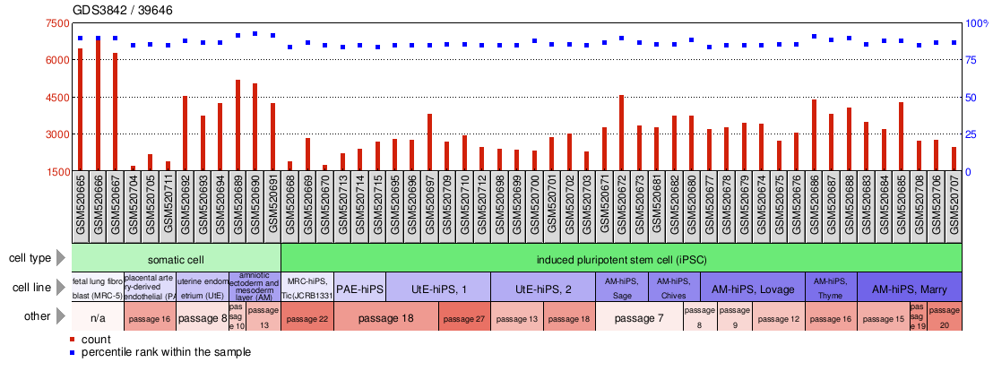 Gene Expression Profile