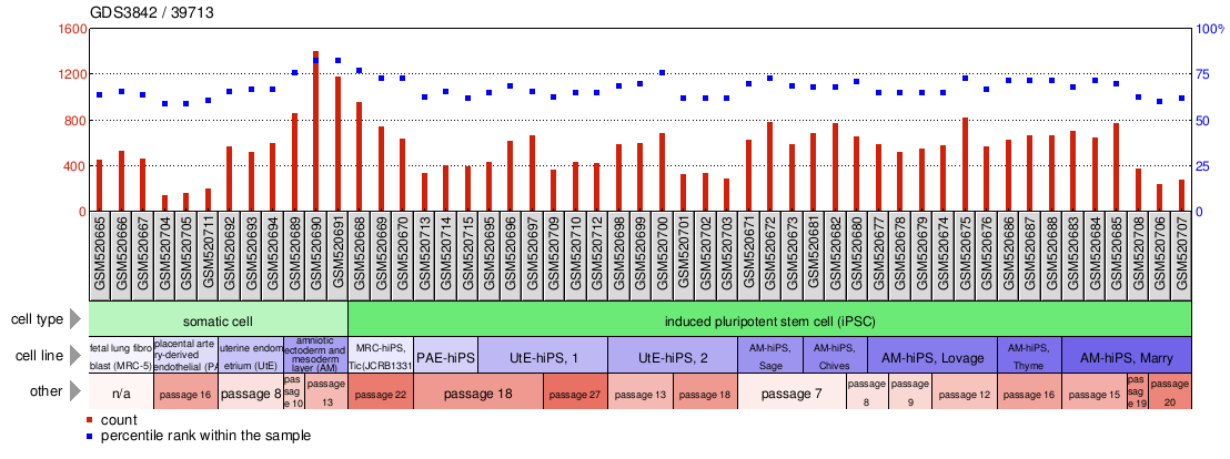 Gene Expression Profile