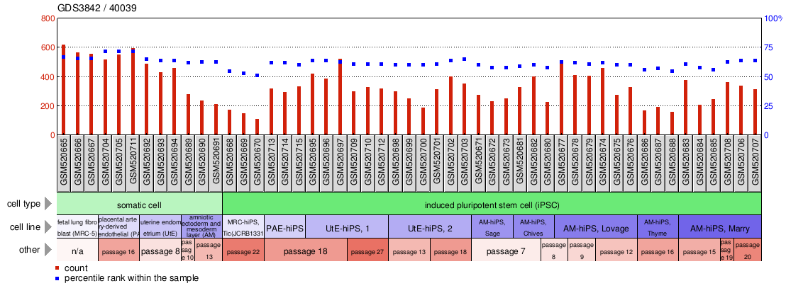 Gene Expression Profile