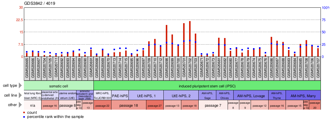 Gene Expression Profile