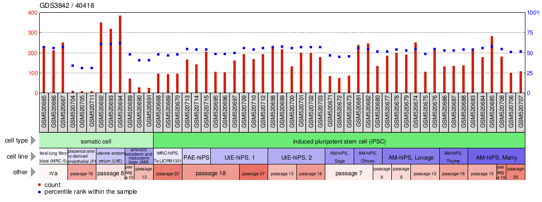 Gene Expression Profile