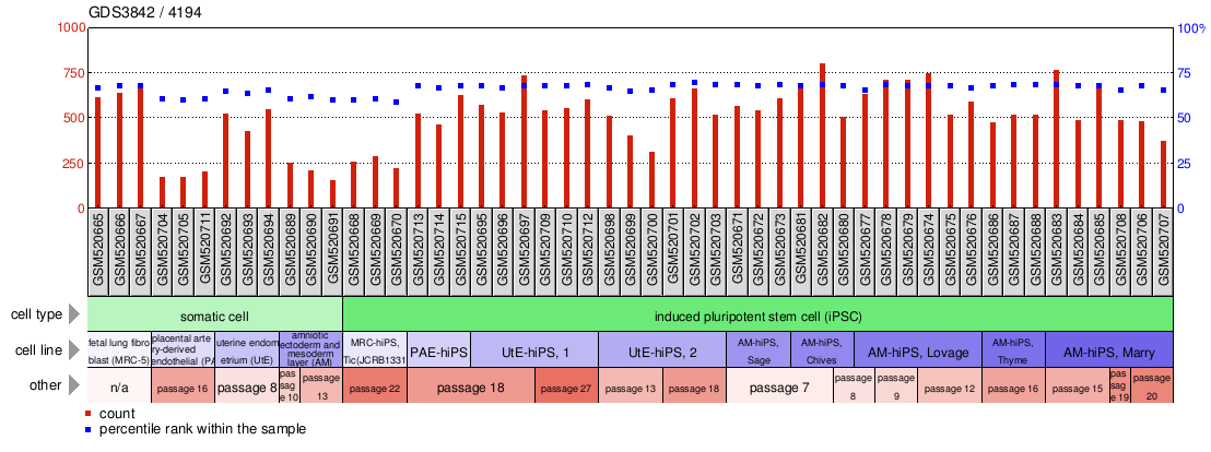 Gene Expression Profile