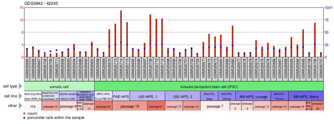 Gene Expression Profile