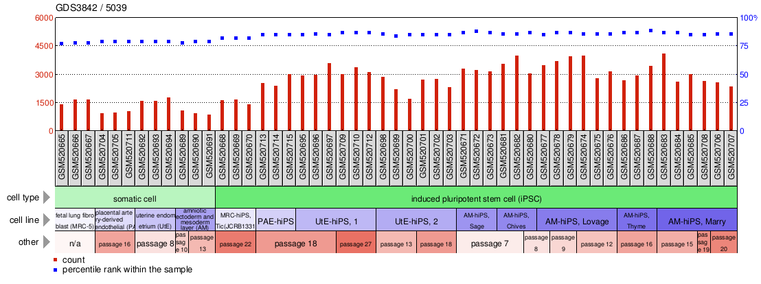 Gene Expression Profile