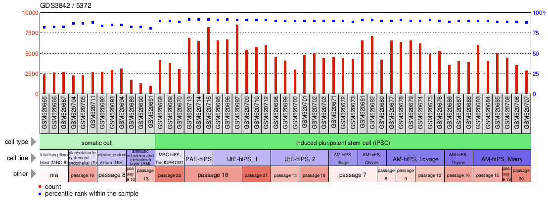 Gene Expression Profile