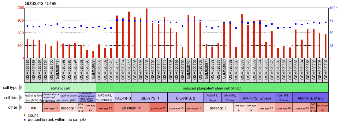 Gene Expression Profile