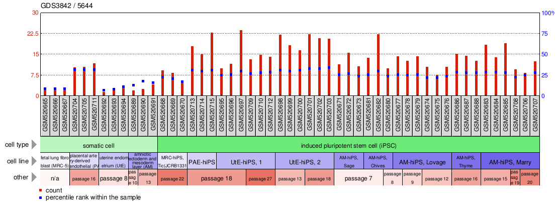 Gene Expression Profile