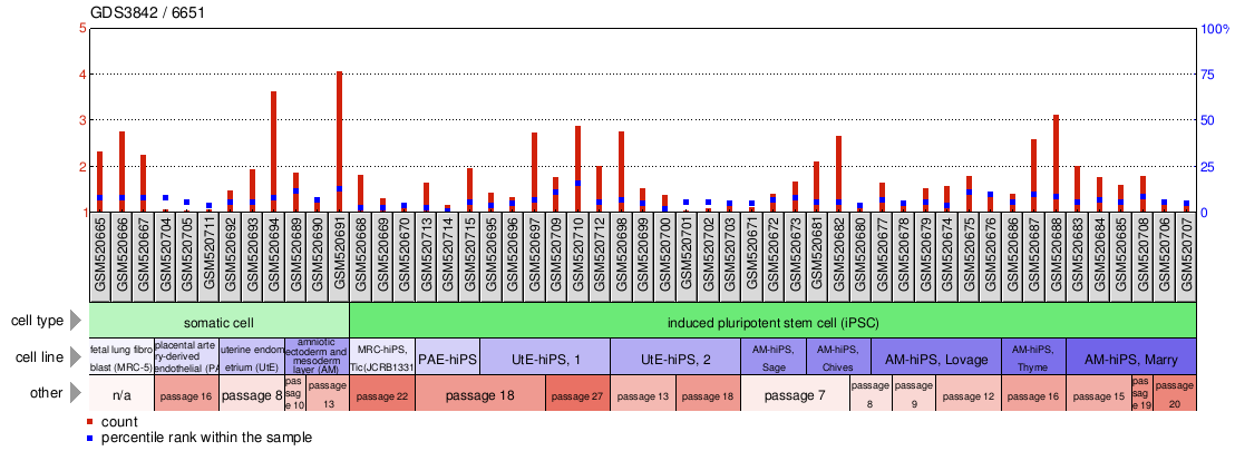 Gene Expression Profile