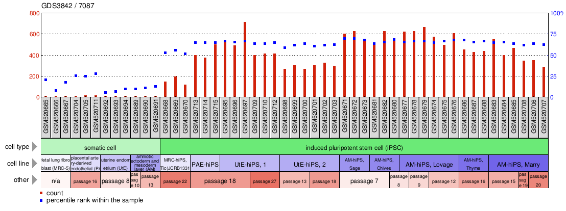 Gene Expression Profile