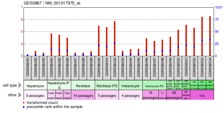 Gene Expression Profile