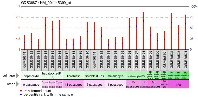 Gene Expression Profile