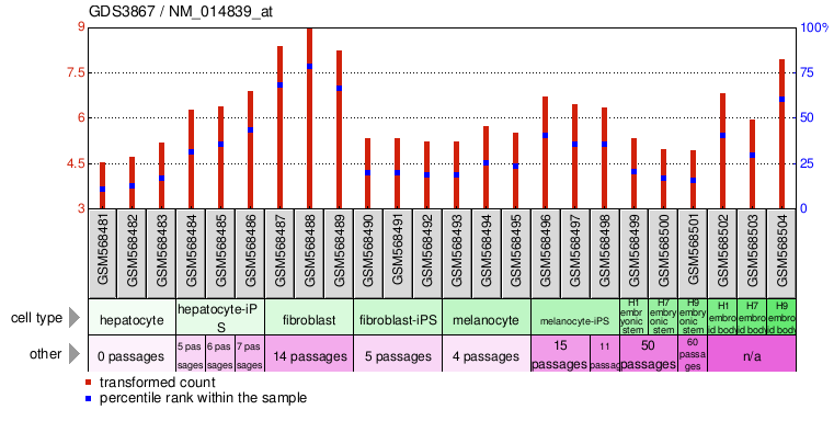 Gene Expression Profile