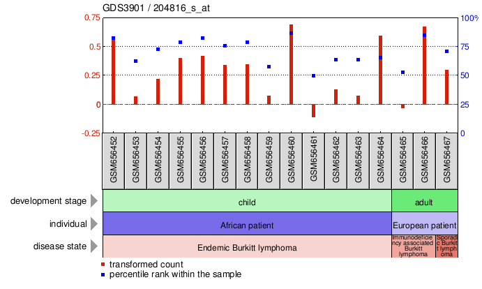 Gene Expression Profile