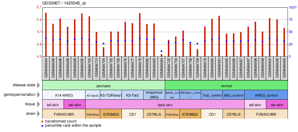 Gene Expression Profile