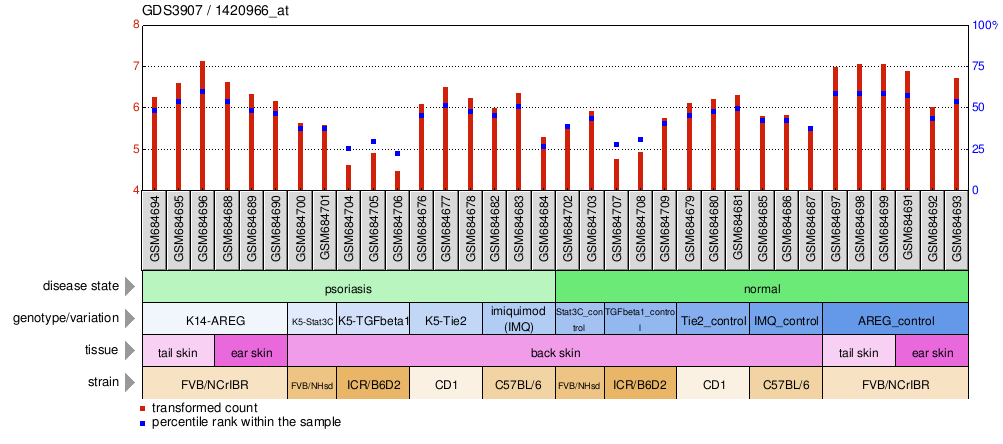 Gene Expression Profile