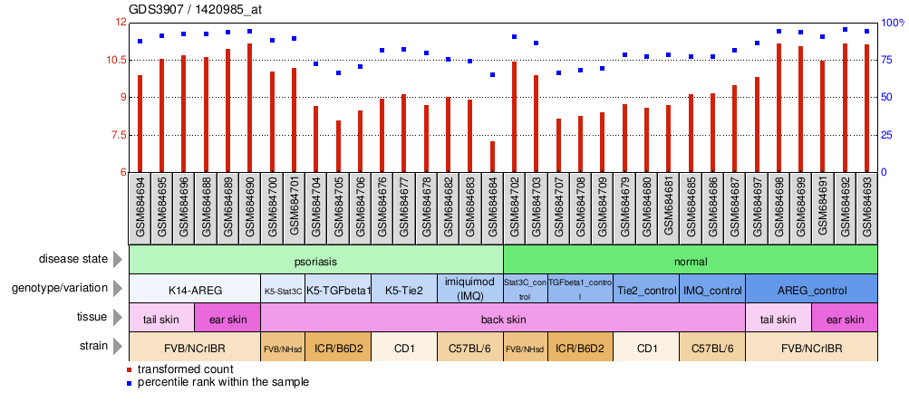 Gene Expression Profile