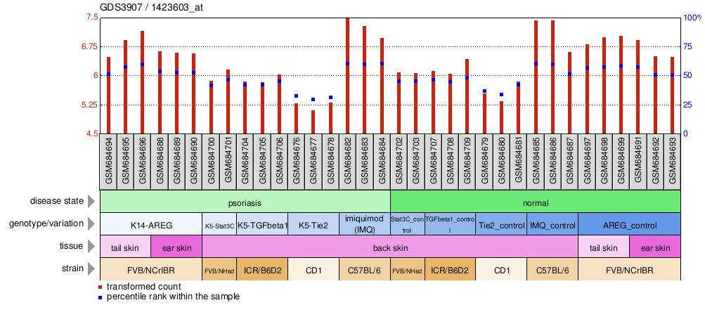 Gene Expression Profile