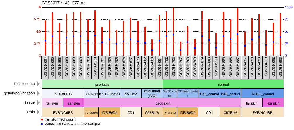 Gene Expression Profile