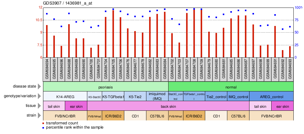 Gene Expression Profile