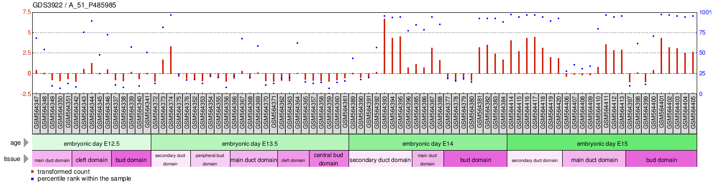 Gene Expression Profile