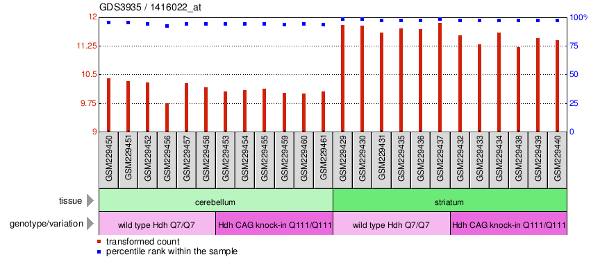 Gene Expression Profile