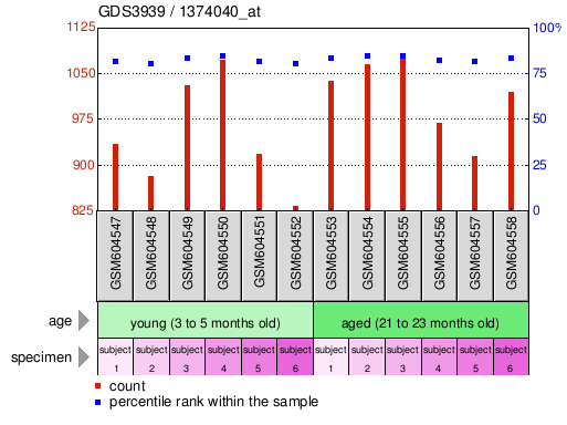 Gene Expression Profile