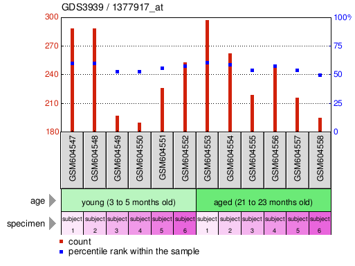 Gene Expression Profile