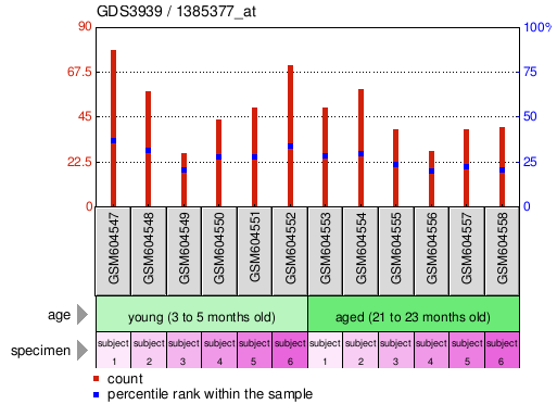 Gene Expression Profile