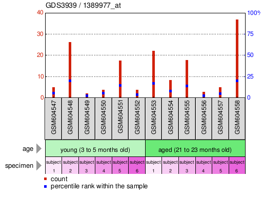 Gene Expression Profile